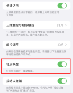 衡东苹果授权维修站分享iPhone轻点无法唤醒怎么办