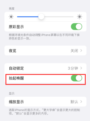 衡东苹果授权维修站分享iPhone轻点无法唤醒怎么办