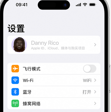 衡东appleID维修服务iPhone设置中Apple ID显示为灰色无法使用 