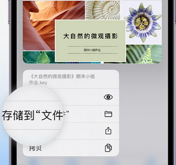 衡东apple维修中心分享iPhone文件应用中存储和找到下载文件