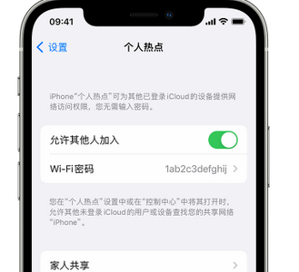 衡东apple服务站点分享iPhone上个人热点丢失了怎么办 