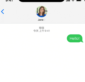 衡东apple维修iPhone上无法正常发送iMessage信息