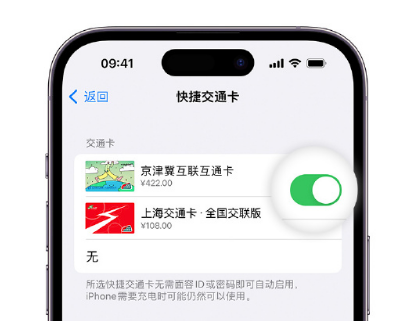 衡东apple维修点分享iPhone上更换Apple Pay快捷交通卡手绘卡面 