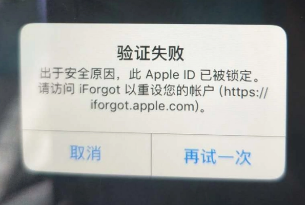 衡东iPhone维修分享iPhone上正常登录或使用AppleID怎么办 