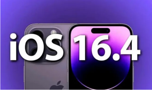 衡东苹果14维修分享：iPhone14可以升级iOS16.4beta2吗？ 