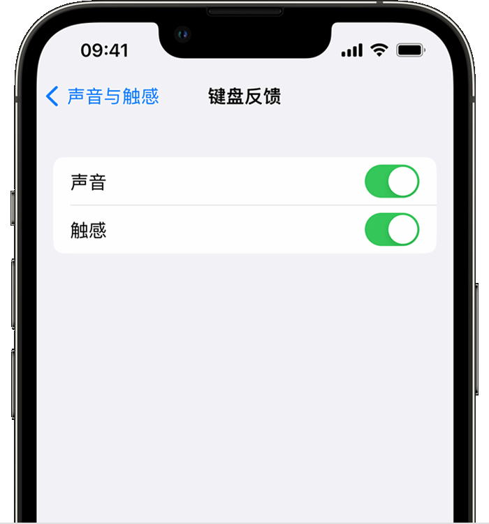 衡东苹果14维修店分享如何在 iPhone 14 机型中使用触感键盘 