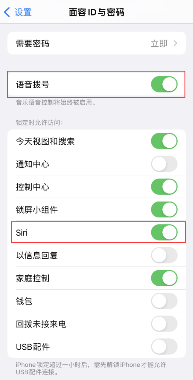 衡东苹果维修网点分享不解锁 iPhone 的情况下通过 Siri 拨打电话的方法 