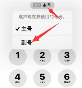 衡东苹果14维修店分享iPhone 14 Pro Max使用副卡打电话的方法 