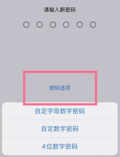 衡东苹果14维修分享iPhone 14plus设置密码的方法 