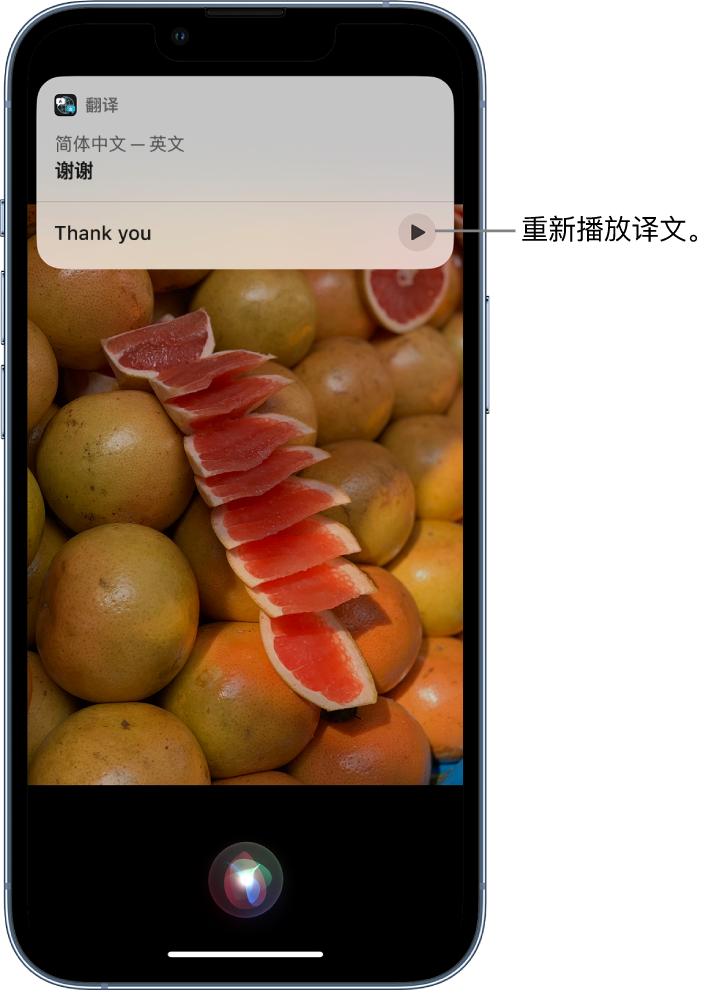 衡东苹果14维修分享 iPhone 14 机型中使用 Siri：了解 Siri 能帮你做什么 