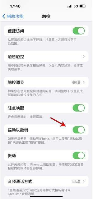 衡东苹果手机维修分享iPhone手机如何设置摇一摇删除文字 