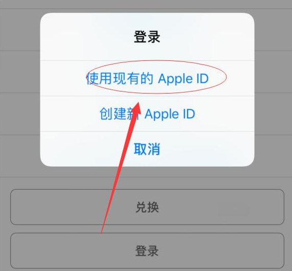 衡东苹果手机维修分享两台iPhone设备可以同时登录一个Apple ID吗 