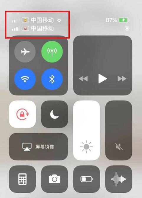 衡东苹果手机维修分享为 iPhone 12 双卡设置标签 