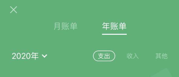 衡东苹果手机维修分享如何在 iPhone 上查看支付宝和微信年支出账单 