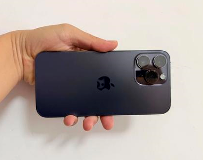 衡东苹果维修点分享iPhone 14 Pro Max发烫多重诱因剖析 